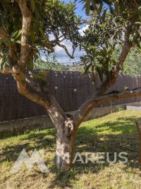 CASA EN VENTA EN SANT ESTEVE SESROVIRES