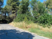 TERRENO EN VENTA EN GELIDA