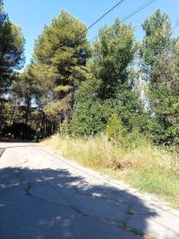 TERRENO EN VENTA EN GELIDA