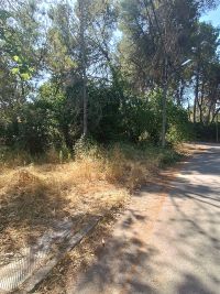 TERRENO EN VENTA EN GELIDA